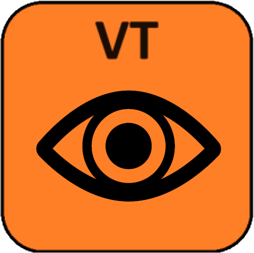wizualne (VT)